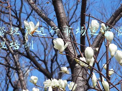 管理员进行市场运营管理培训