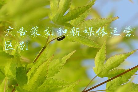 广告策划和新媒体运营区别