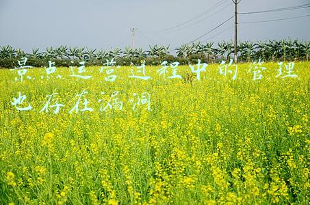 景区运营存在的问题及对策(「实战总结」：如何解决文旅景区发展不均衡问题？)