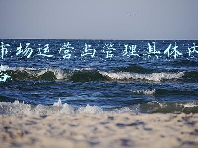 市场运营与管理具体内容