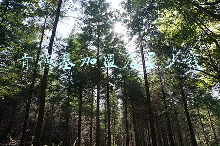 三线城市加盟肯德基需要多少钱_加盟肯德基需要多少钱