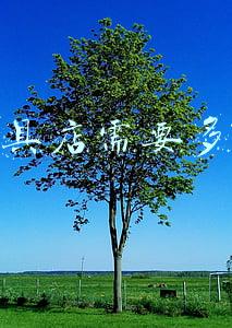 开一个渔具店大概要多少钱（开个渔具店大概需要多少钱）