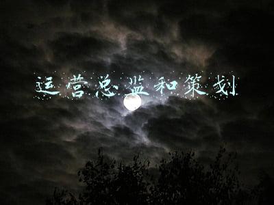 运营总监和策划