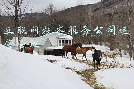 互联网技术基础知识(万字45张图详解计算机网络基础知识)