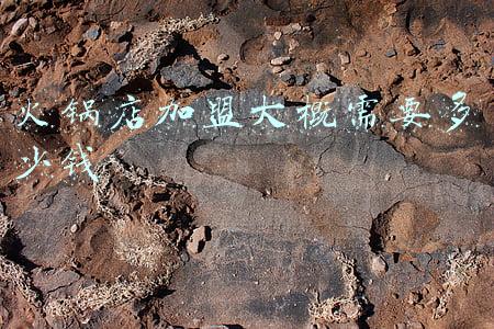 加盟火锅店要多少钱《火锅店加盟费大概多少》