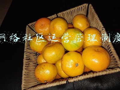 网络社区运营管理制度
