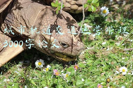 城市轨道交通运营管理3000字论文