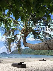 铁路物流管理专业专升本(山东专升本考试专业解析——物流工程专业)