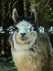 交通运营管理自考试题