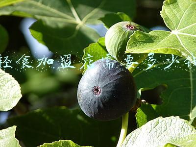 轻食店加盟费一般多少；轻食加盟需要多少钱