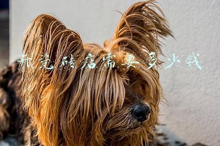 新手如何开好瓷砖店-开瓷砖店怎么经营新手