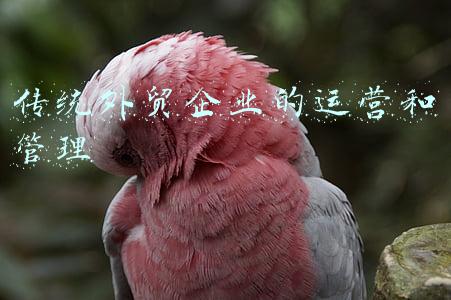 传统外贸企业的运营和管理