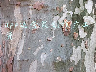 app推广员底薪真相(招聘网上为什么那么多招游戏推广的公司？游戏推广有前途吗？)
