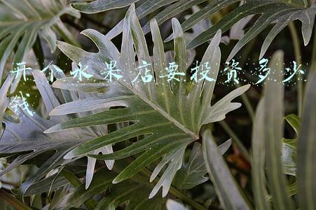 开水果店一年能赚多少钱(开家水果店一年能赚多少钱)