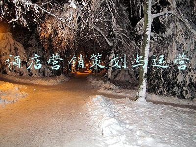 酒店营销策划与运营