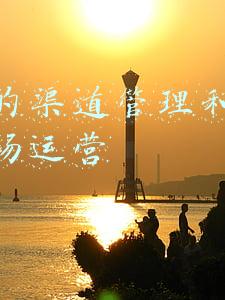 移动的渠道管理和移动的市场运营