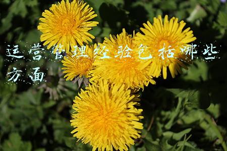 运营管理经验包括哪些方面