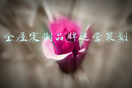 全屋定制品牌运营策划