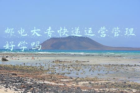 邮电大专快递运营管理好学吗