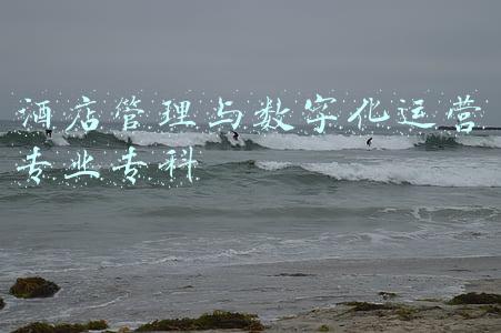 酒店运营与管理专业介绍(新加坡留学专业还没选好？酒店管理了解下)