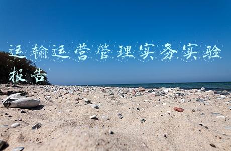 运输运营管理实务实验报告