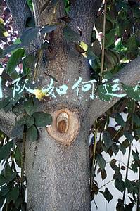 新建团队如何运营管理