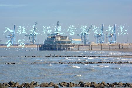天猫运作及运营流程(天猫入驻小知识：天猫入驻步骤或流程是怎样的？)