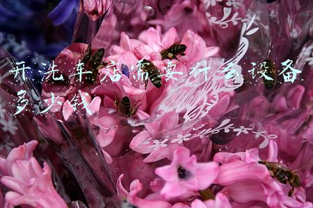 洗车都需要什么设备需要多少钱(洗车时所需要的主要设备多少钱)