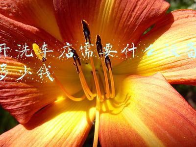 洗车店污水处理设备-洗车店污水处理设备多少钱