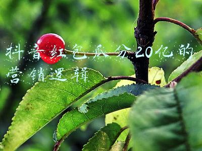 抖音红包瓜分20亿的营销逻辑