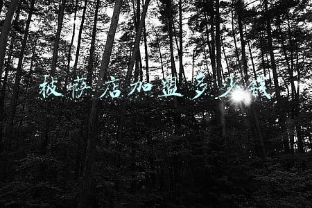 披萨加盟费是多少钱；披萨加盟费是多少