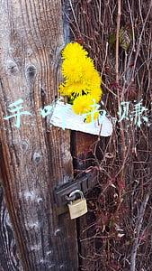 听书赚钱的软件(我所用过的几款听书软件，或感动、或惊喜、或气愤)