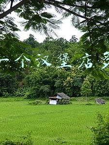开个汉堡店需要多少钱?（开个汉堡店需要多少钱）