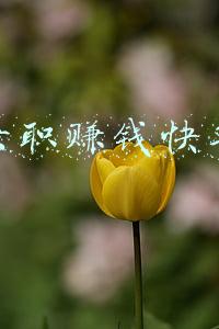 网络兼职赚钱快手聊天