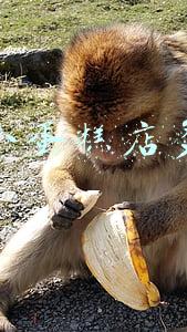 开个小蛋糕店多少钱