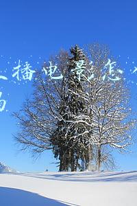 快手直播电影怎么弄的(快手直播间播放电影电视剧教程)