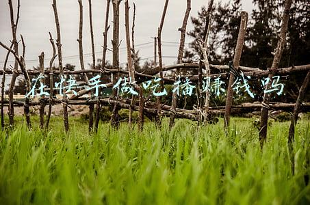 快手直播电视剧怎么播(快手商家解锁增长新秘籍：直播时长增加不到1倍，月GMV暴涨超2倍)
