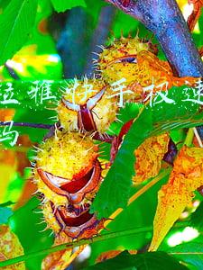 喜马拉雅怎么配音赚钱(“一部手机一张嘴”月入万元？配音兼职套路多)