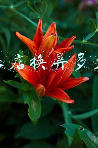 苹果店刷机多少钱-苹果手机刷机多少钱一次