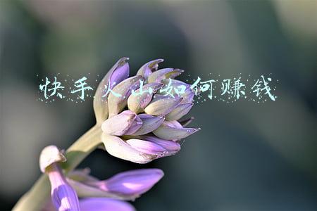 快手火山如何赚钱