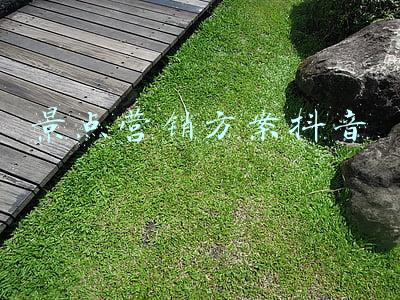 景点营销方案抖音