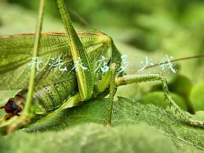 开个洗衣店得投资多少钱-开洗衣店要投资多少钱