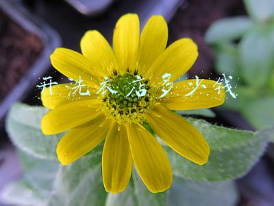 开洗衣店需要多少钱 开个洗衣店大概需要多少钱