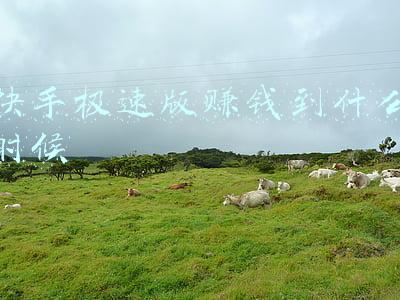 快手极速版多长时间能赚一元(9.6日赚钱软件收益情况)