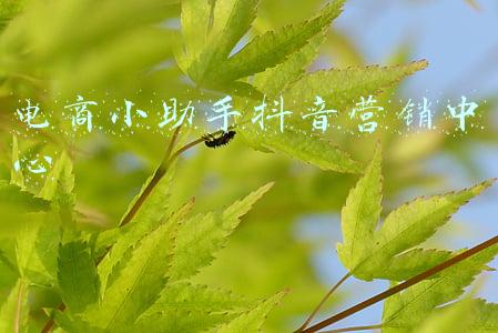 抖音企业小助手(抖音企业号专属活动，配置企业电话和预约，瓜分千万流量)