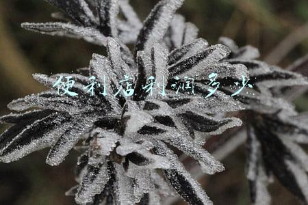 便利店的利润率 便利店利润