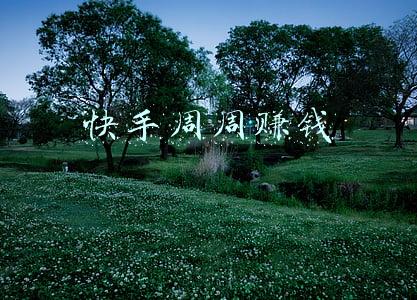 快手极速版周周助力(直播+视频流量双扶持，快手“百万主播夏季赛”助推主播涨粉进阶)