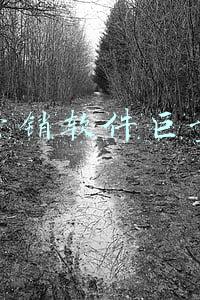 抖音热门推广软件(全网截流软件：抖音)