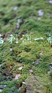 卖家具的利润多少-家具销售利润大概多少