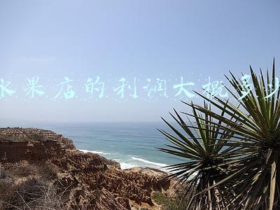 水果店利润有多大 水果店利润有多大?要怎样去经营?
